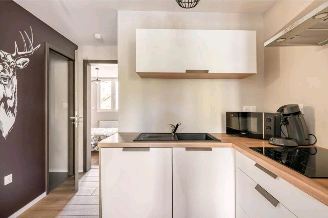 Le Nature 1 Chambre Et Sauna Colmar Luaran gambar
